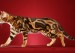 孟加拉豹猫颜色大全，谈孟加拉豹猫颜色种类