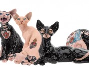 斯芬克斯猫的黑帮照片,斯芬克斯猫纹身图