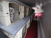 俄罗斯莫斯科、乌克兰的宠物跨境运输直飞托运回国服务