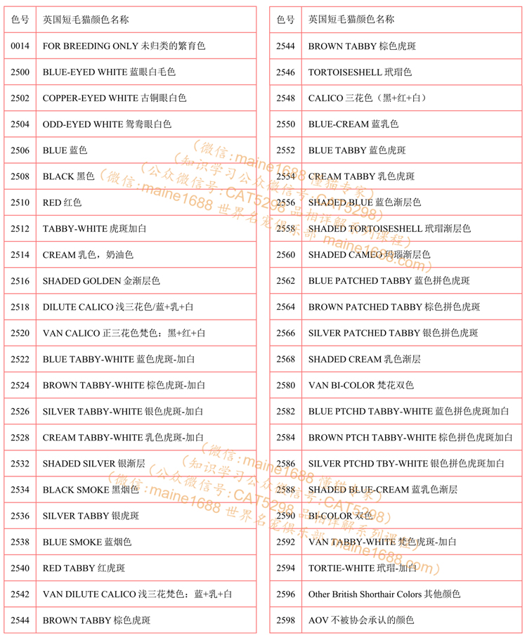 英国短毛猫几种颜色？CFA官方44种英国短毛猫颜色分类