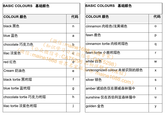 英短花色繁育表