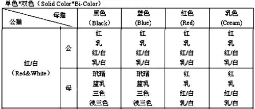 缅因猫 缅因猫配色规律 花色搭配表 Cfa猫舍猫咪品种科普 缅因猫 缅因猫配色规律 花色搭配表 Cfa猫舍猫咪品种科普